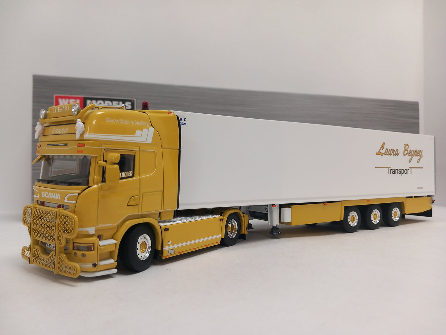 ARRIVAL WSI 01-4612 LAURATRANS - SCANIA